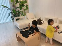 アレクサンダー『カゲトラの影響で』