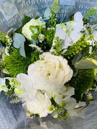 戸田恵子『ひさしぶりのあんずだいふく。』