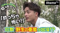 【無料】GENERATIONS高校TV-#27　群馬編！珍獣「野生の亜嵐」と遭遇！？ - Abemaビデオ | AbemaTV（アベマTV）