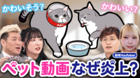 【映像】演出or虐待？動物系YouTuber炎上の背景を議論 収益化は悪？動物の幸せとは何だ？