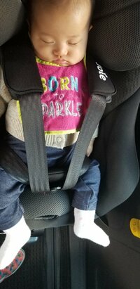 小原正子『申請&切替☆』