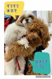 おおたわ史絵『検査はできるのか?』