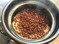 つんく♂『１０月のおついたち（２０１８）』