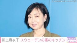 川上麻衣子（60）、スウェーデンの家のキッチンを公開し反響「優雅な雰囲気」