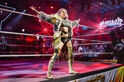 引退直前のレジェンドと日本人美女レスラー“揃い踏み”で決めポーズ…ファン感慨の一コマ「ラストマッチで対戦してくれ！」