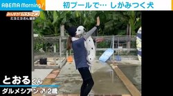 初プールに“ビビる”犬 飼い主に力強くしがみつく姿が話題「パニック！」