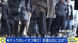 米テックのレイオフは“再構築”？日本のあり方は？「“おじさんのIT介護をしているのになぜ給料が低いのか”と思う若者も」 夏野剛氏「解雇規制があるから給料上がらない」