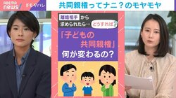 モラハラで離婚した元夫から「いつ共同親権打診されるか」シングルマザーの不安…4月スタートの「共同親権」ってそもそも何？弁護士が解説「ポイントになるのは子どもの利益」