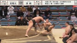 力士が土俵下に落下して審判に蹴りが決まってしまう瞬間 派手な幕切れに相撲ファンが騒然「大被弾」