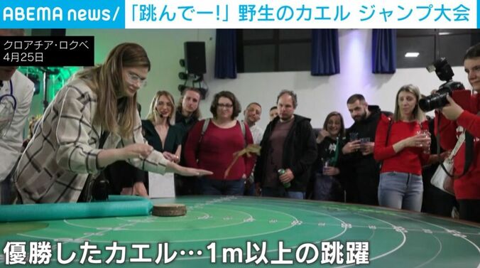 ジャンプするカエル