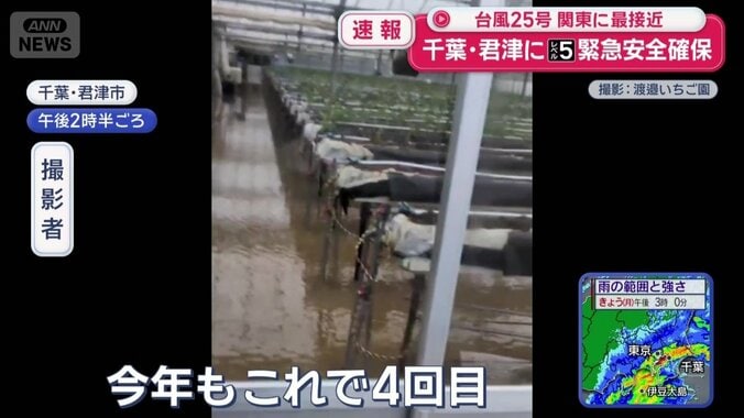 川の水があふれイチゴのビニールハウスに