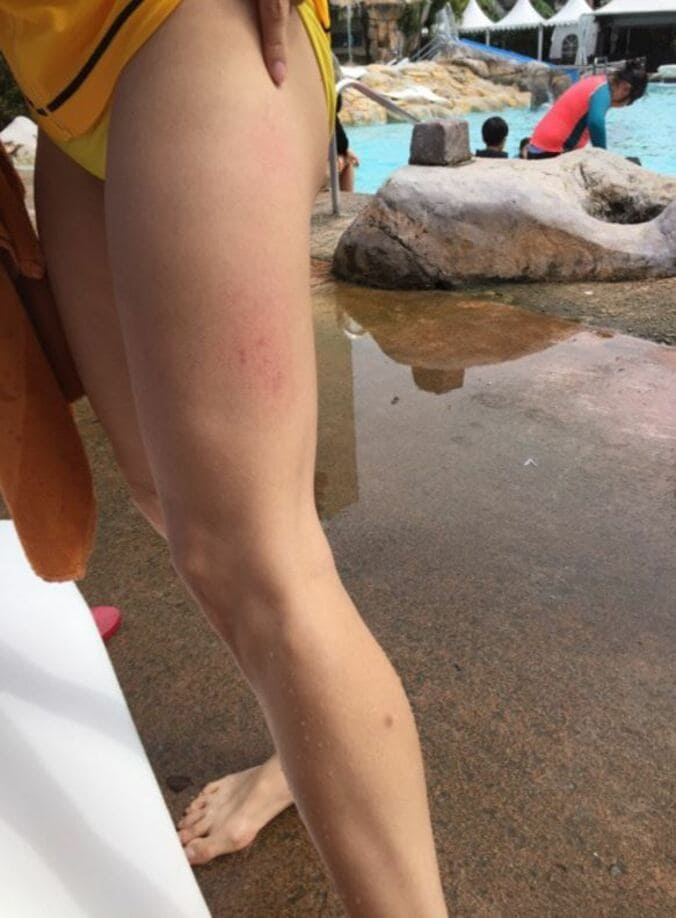 東尾理子、水着から伸びる美脚に賞賛の声　「ママには見えない」 2枚目