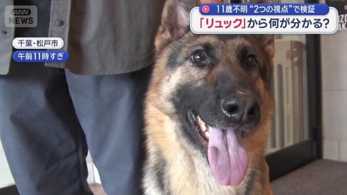 警察犬