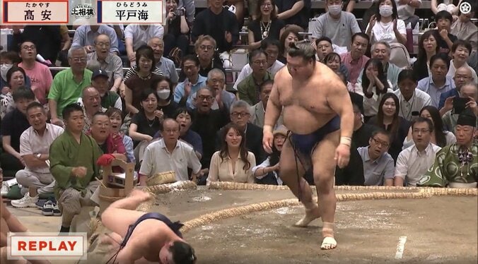 九代目・林家正蔵さん