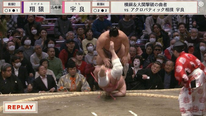 翔猿が土俵下に転落