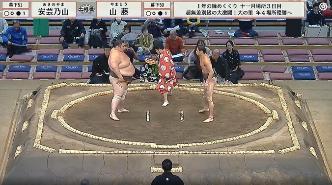 山藤（写真右）