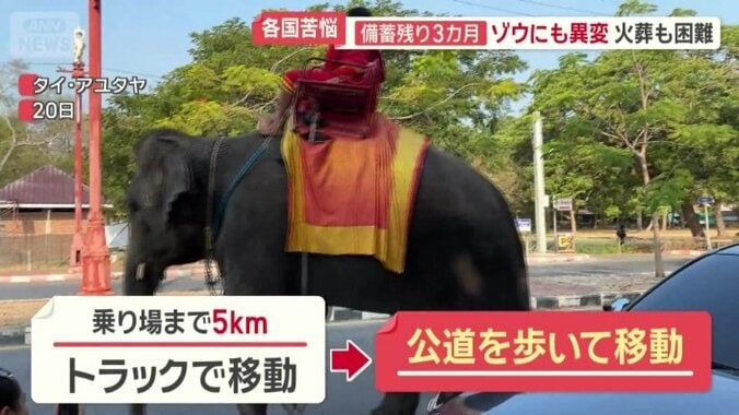 公道を歩いて移動