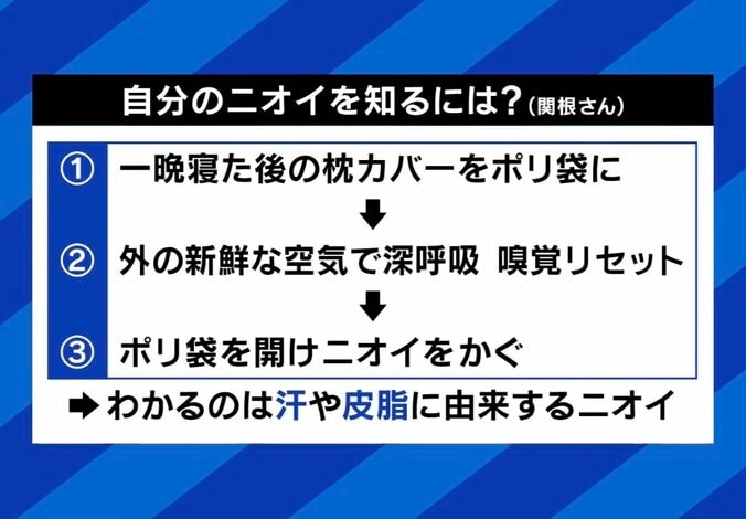 【写真・画像】　11枚目