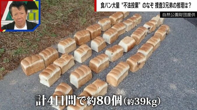 自然公園財団提供