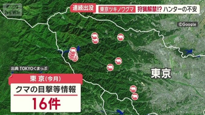 東京（今月）クマの目撃情報16件