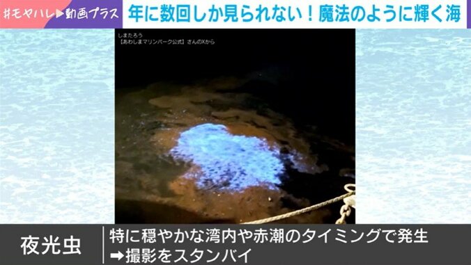 魔法にかかったような海