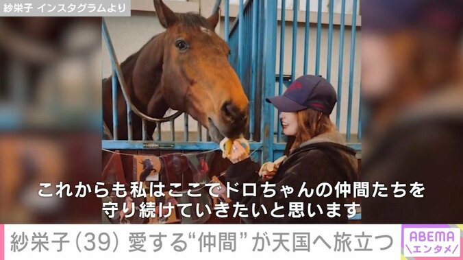 紗栄子と愛馬