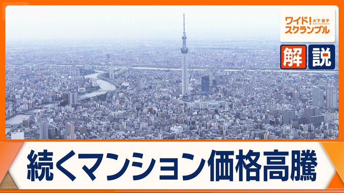 東京23区新築マンションの平均価格が過去最高　「投機的取引」抑制へ　価格の高騰に歯止めは 1枚目