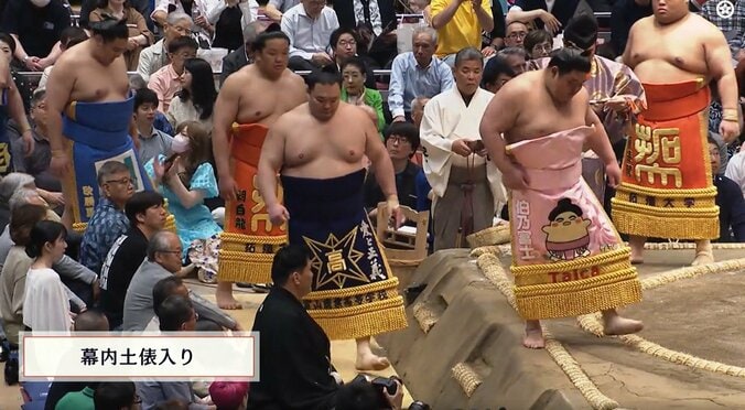 「この生物は何だ」伯乃富士、“異彩”を放つ化粧まわしに熱視線「おっちかわいい」 3枚目