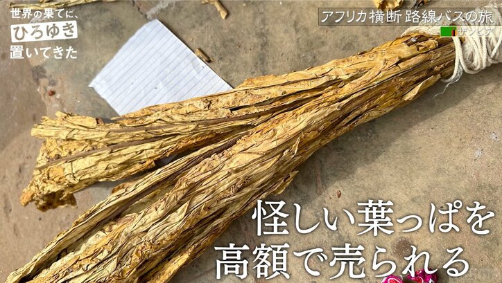 ひろゆき、謎の葉っぱを吸い飛ぶ  “アフリカ闇商人風”男性からぼったくり価格で購入