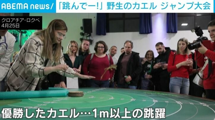 ジャンプするカエル