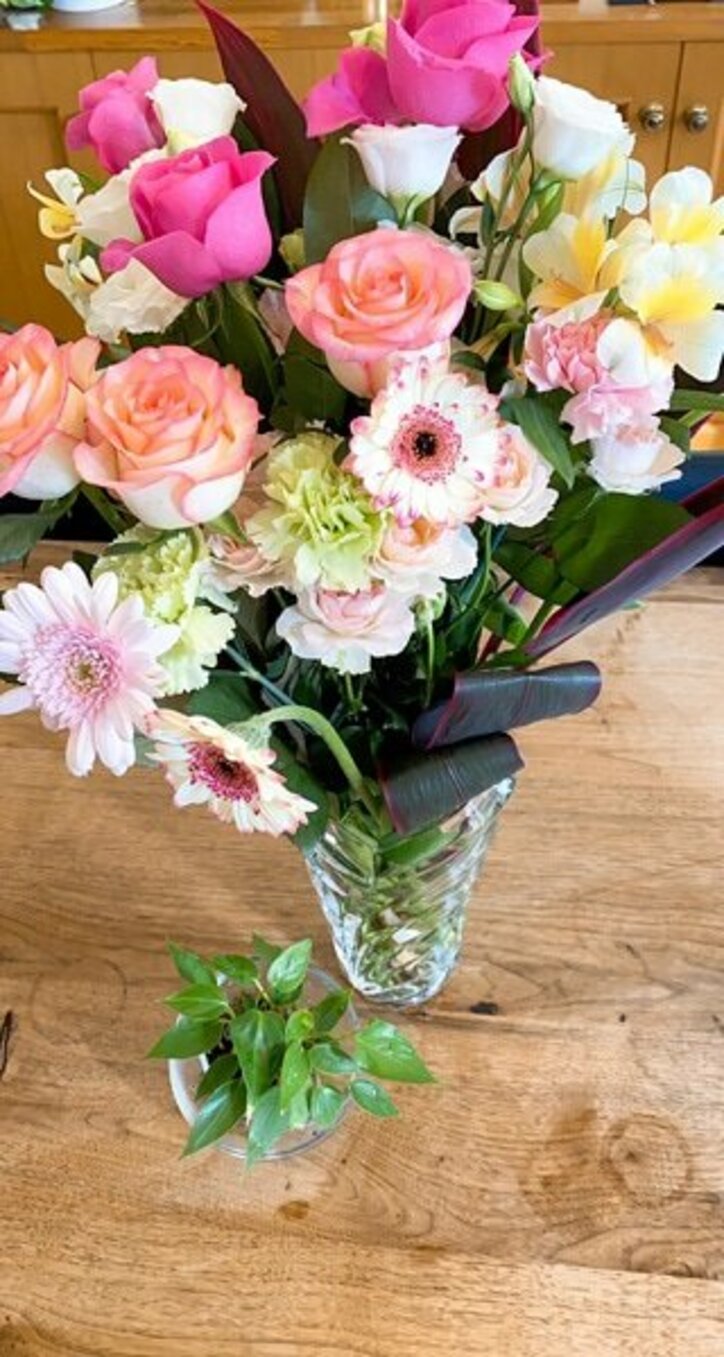 堀ちえみ、食道がんの検査結果を報告「無知ほど怖いものはないですね」