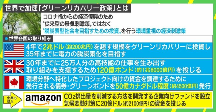 「環境対策をより前に進めた形で経済回復することが重要」 アフターコロナの合言葉「グリーンリカバリー」