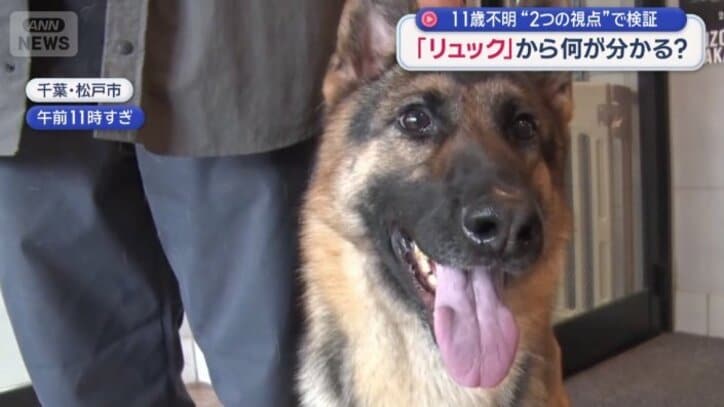 警察犬