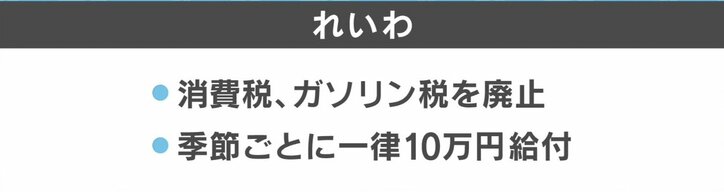 “物価高騰”いつまで?「消費税撤廃」で足並み揃う野党…参院選、各党の経済対策まとめ