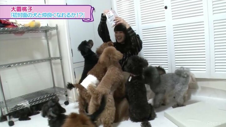 白石麻衣のひょっこりはん生共演、衛藤美彩がメイク術特別公開にかわいすぎるの声