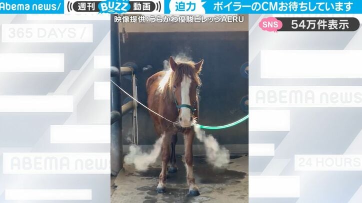 【写真・画像】手のひらサイズの生まれてまもない赤ちゃん猫、飼い主さんの指を必死に吸う姿に悶絶！かわいすぎる成長物語に感動の声続々「立派なおてんば娘に…」　1枚目