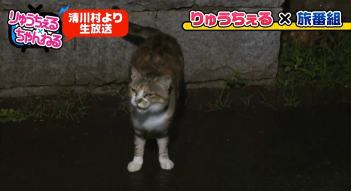 りゅうちぇる、放送事故レベルのロケ 「日本列島ダーツの旅」に挑戦