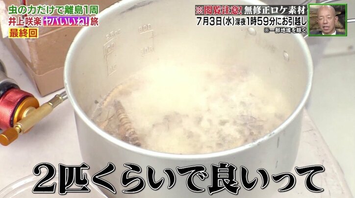 苦しむゴキブリを生きたまま油に…昆虫バーベキューに男性も悲鳴！