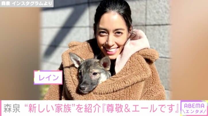 森泉、徳島県の動物福祉団体から引きとった“新しい家族”を紹介「娘にもいい勉強になりました」