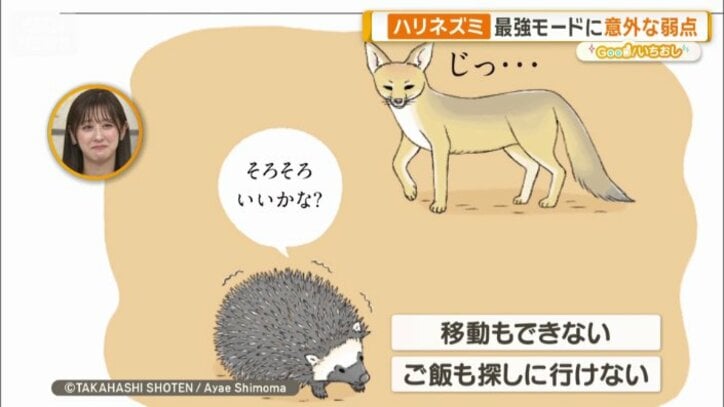 丸まった状態は最強モードだが…