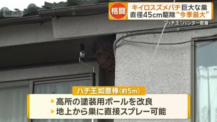 「ハチ王如意棒」を使用