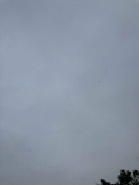 堀ちえみ『身体が疲れ気味ですが週末だ!元気出して行こう!』