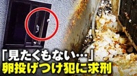 【映像】「卵見たくない」被害者に心の傷も...“卵投げつけ犯”に懲役2年6カ月求刑