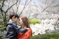 スザンヌ『入学式』