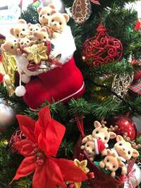 たんぽぽ白鳥久美子『メリークリスマス』