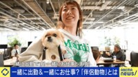 【映像】職場&老人ホームでも一緒...「伴侶動物」とは？虐待数最多も「人×動物」どう共生？