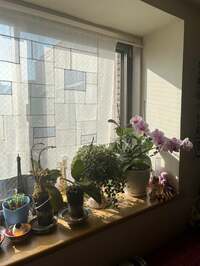 キャシー中島『今日はメンテナンスデー』