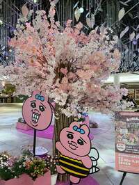 桂文枝『良かった』