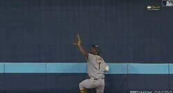 どうなってるの…！？ フェンスを登って“まさかの本塁打キャッチ”「ヤバすぎる」 120m大飛球を好捕してしまう“超絶ファインプレー”… ファン騒然
