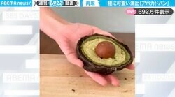 リアルすぎて驚き！ものすごい再現度のアボガドパン！種に“可愛い演出”があり「笑顔の種に癒された…」と話題沸騰